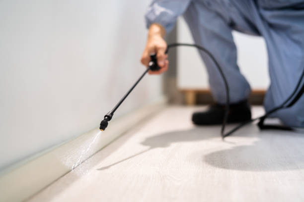 Bed Bug Pre-Treatment Preparation Assessment in Belding