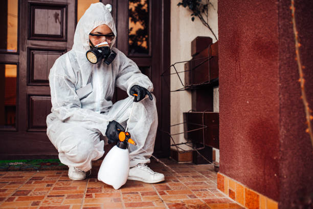 Multi-Unit and Airbnb Bed Bug Protocol in Belding