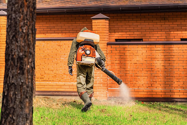 Bed Bug Clearance Verification and Documentation in Belding